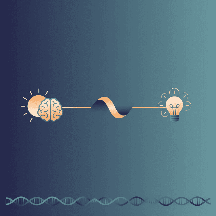 The Science of Timing: Why When You Do Things Matters